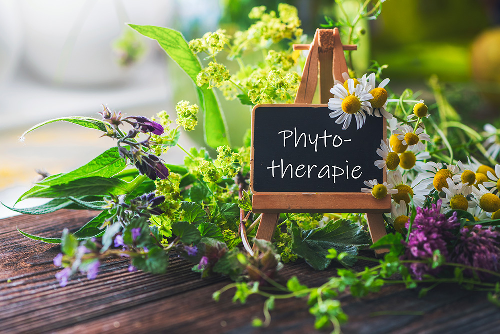 Accompagnement naturopathique périménopause et ménopause